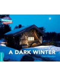 NEW TURQUOISE A DARK WINTER  (ISBN: 9781108439787)